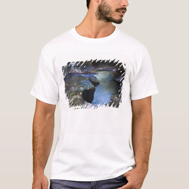 Tunnelbananspringakanjonen Tee Shirt (Framsida)