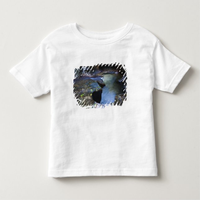 Tunnelbananspringakanjonen Tee Shirt (Framsida)