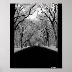 Tunneln träd poster