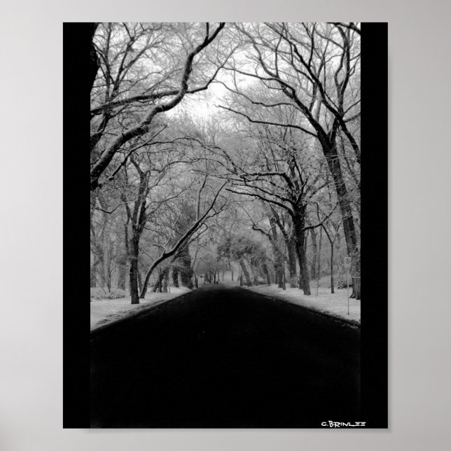 Tunneln träd poster (Framsidan)