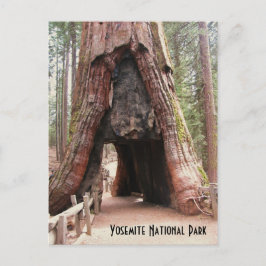 Tunneln Träd-Yosemite Vykort