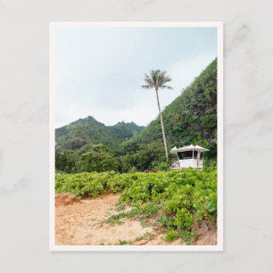 Tunnels Beach Tropical Kauai Livräddartorn Vykort
