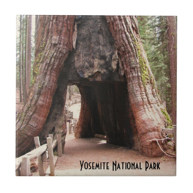 TunnelTräd Yosemite Kakelplatta (Framsidan)