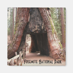 TunnelTräd Yosemite Magnet