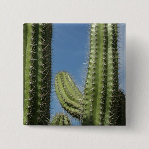 Tunnkaktus I Öken Foto Knapp