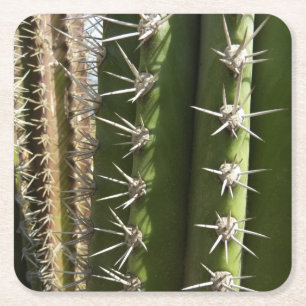 Tunnkaktus II Ökennaturfoto Underlägg Papper Kvadrat