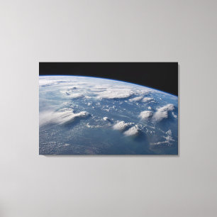 Tunt i jordens ängar vid södra Borneo. Canvastryck