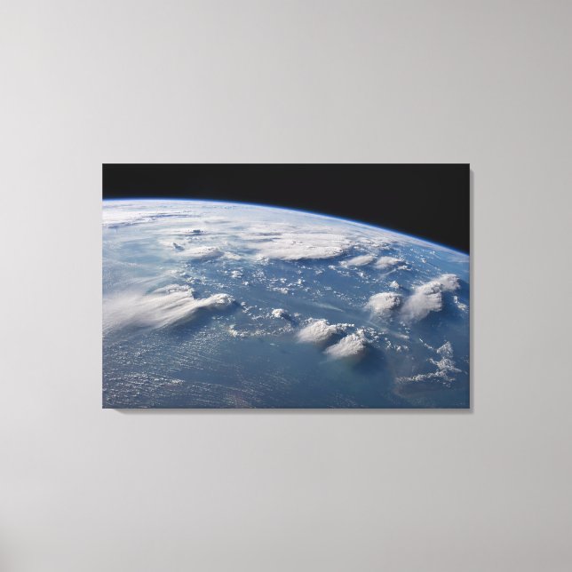 Tunt i jordens ängar vid södra Borneo. Canvastryck (Framsida)