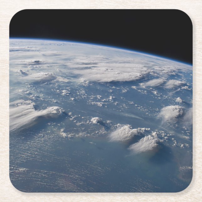 Tunt i jordens ängar vid södra Borneo. Underlägg Papper Kvadrat (Framsidan)