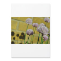 Tunt magnetiskt kort