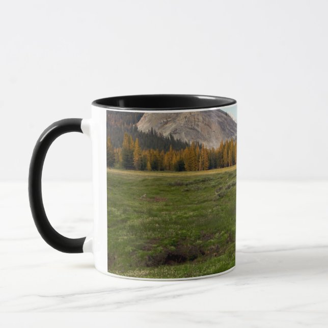 Tuolumne äng, Yosemite Mugg (Vänster)