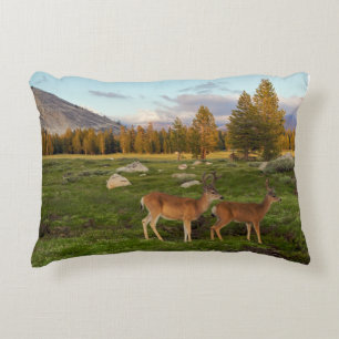 Tuolumne äng, Yosemite Prydnadskudde