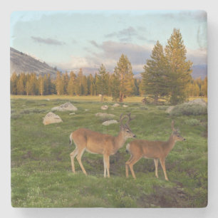 Tuolumne äng, Yosemite Stenunderlägg