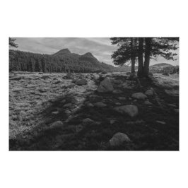 Tuolumne Meadows of Yosemite National Park Fototryck