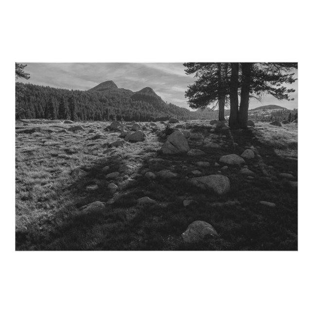 Tuolumne Meadows of Yosemite National Park Fototryck (Framsidan)