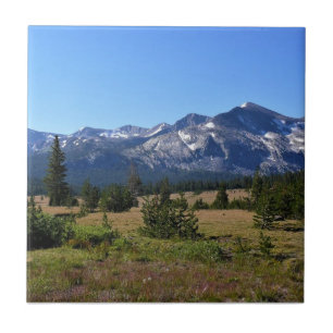 Tuolumne Meadows, Yosemite, CA Kakelplatta