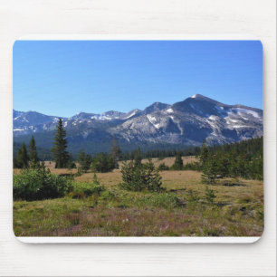 Tuolumne Meadows, Yosemite, CA Musmatta