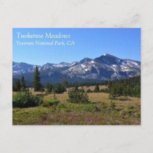 Tuolumne Meadows, Yosemite, CA Postcard Vykort