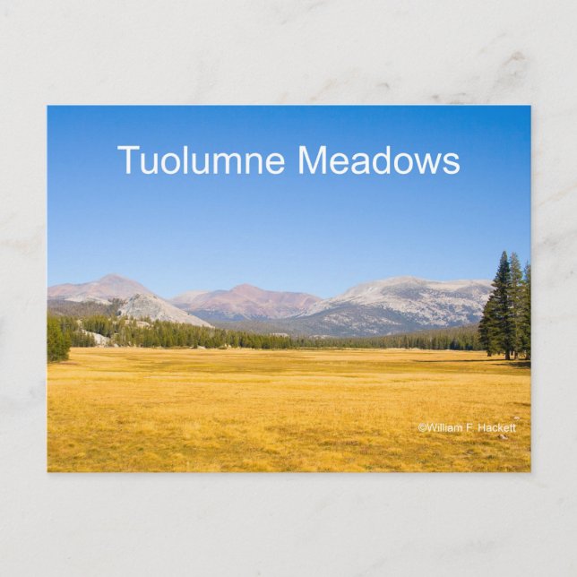 Tuolumne Meadows Yosemite California Products Vykort (Framsida)