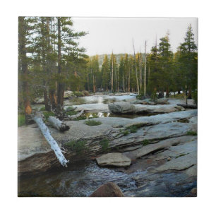 Tuolumne River by Campground, Yosemite, CA Kakelplatta