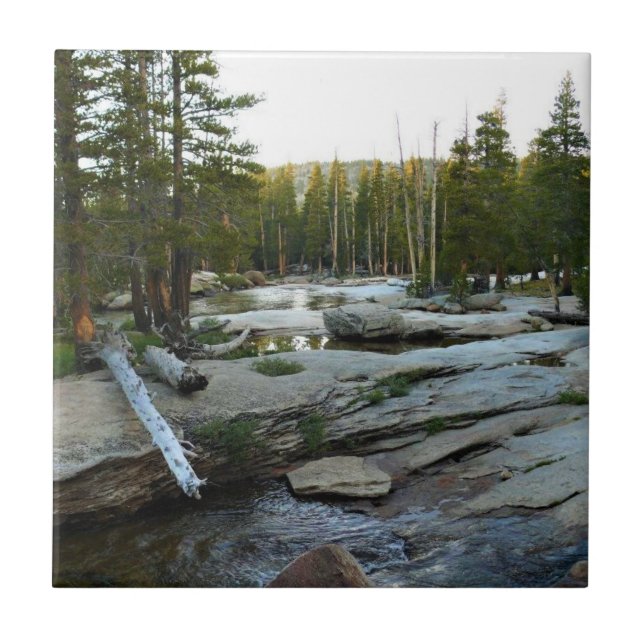 Tuolumne River by Campground, Yosemite, CA Kakelplatta (Framsidan)