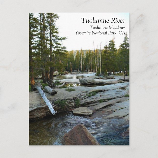 Tuolumne River by Campground, Yosemite, CA Postcar Vykort (Framsida)