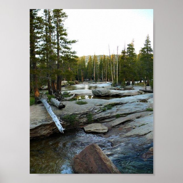 Tuolumne River by Campground, Yosemite, CA Poster (Framsidan)
