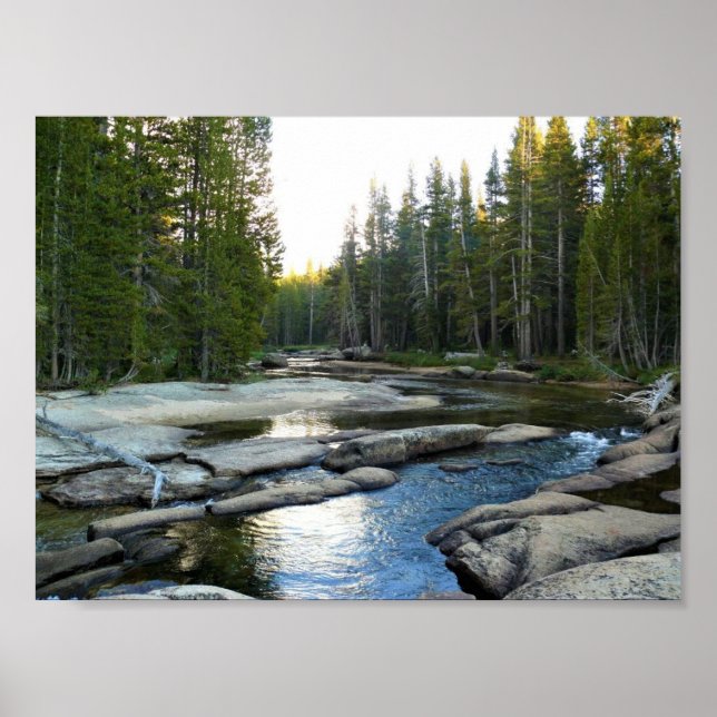 Tuolumne River by Campground, Yosemite, CA Poster (Framsidan)