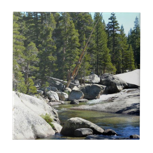 Tuolumne River in Tuolumne Meadows, Yosemite, CA Kakelplatta (Framsidan)