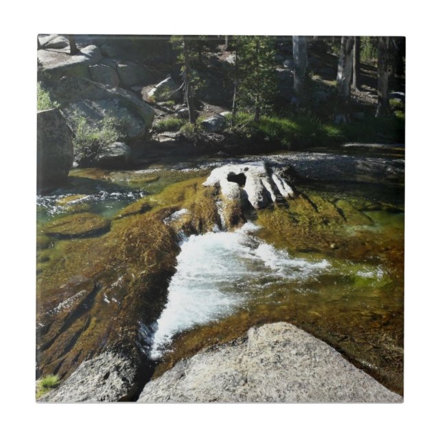 Tuolumne River in Tuolumne Meadows, Yosemite, CA Kakelplatta (Framsidan)