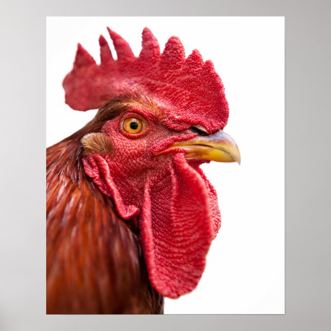 Tupp Ansikte Poster (Framsidan)