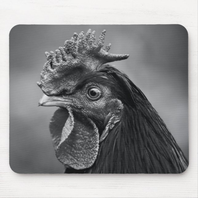 Tupp Black and White Musmatta (Framsidan)
