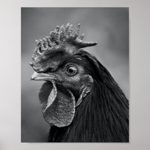 Tupp Black and White Poster