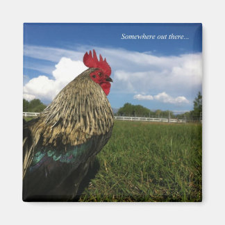 Tupp Bob nånstans där borta Magnet