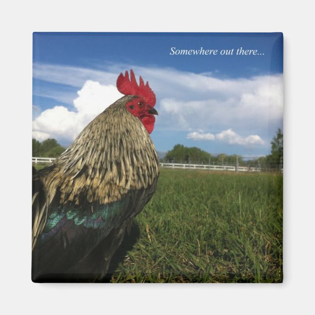 Tupp Bob nånstans där borta Magnet (Framsidan)