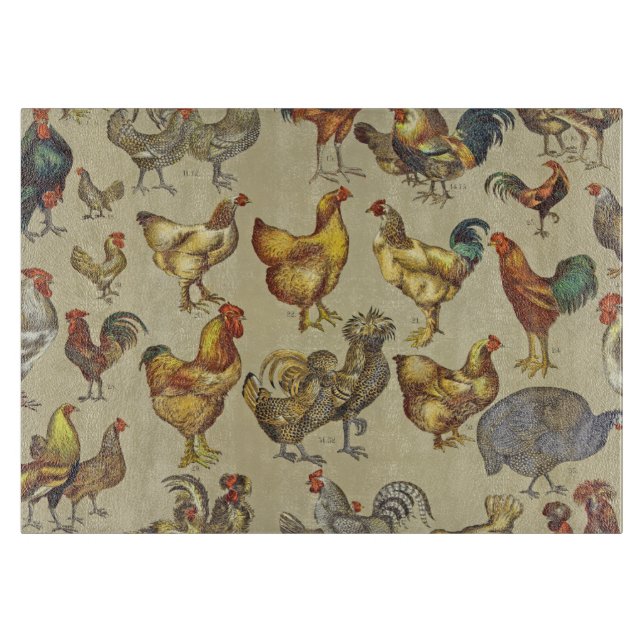 Tupp Chicken Farm Land Animal (Framsidan)