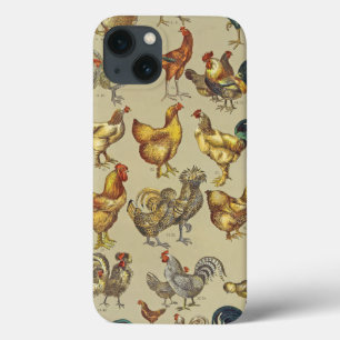 Tupp Chicken Farm Land Animal