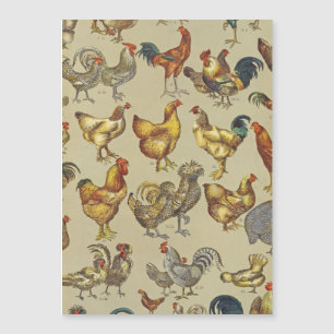 Tupp Chicken Farm Land Animal