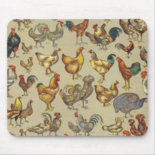 Tupp Chicken Farm Land Animal Musmatta