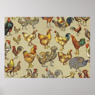 Tupp Chicken Farm Land Animal Poster