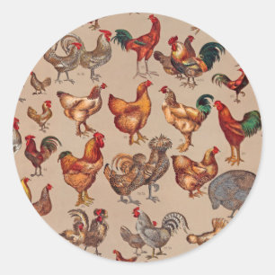Tupp Chicken Farm Land Animal Runt Klistermärke