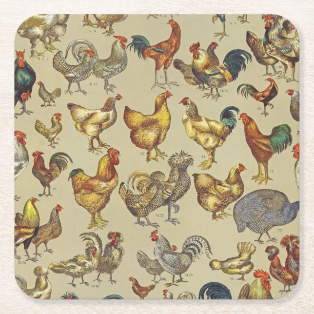 Tupp Chicken Farm Land Animal Underlägg Papper Kvadrat (Framsidan)