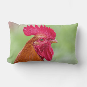 Tupp & Chicken Lumbarkudde