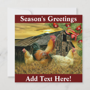 Tupp Chickens Chicken Coop jul Tack Kort