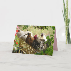 Tupp Chickens Grattis på födelsedagen från USA:s h Kort