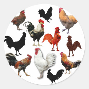 Tupp Collage Vintage Rustic Chickens Runt Klistermärke