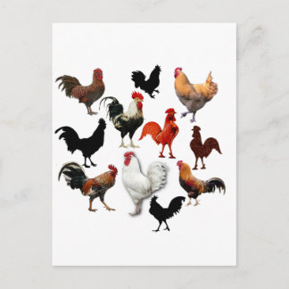 Tupp Collage Vintage Rustic Chickens Vykort