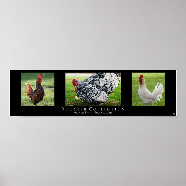 "Tupp Collection", Black Poster (Framsidan)