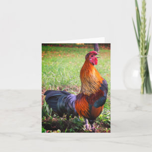 Tupp Crom 2 Farm Animal Note Card Kort