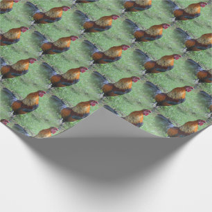Tupp Crowing Animal Nature Mönster Presentpapper